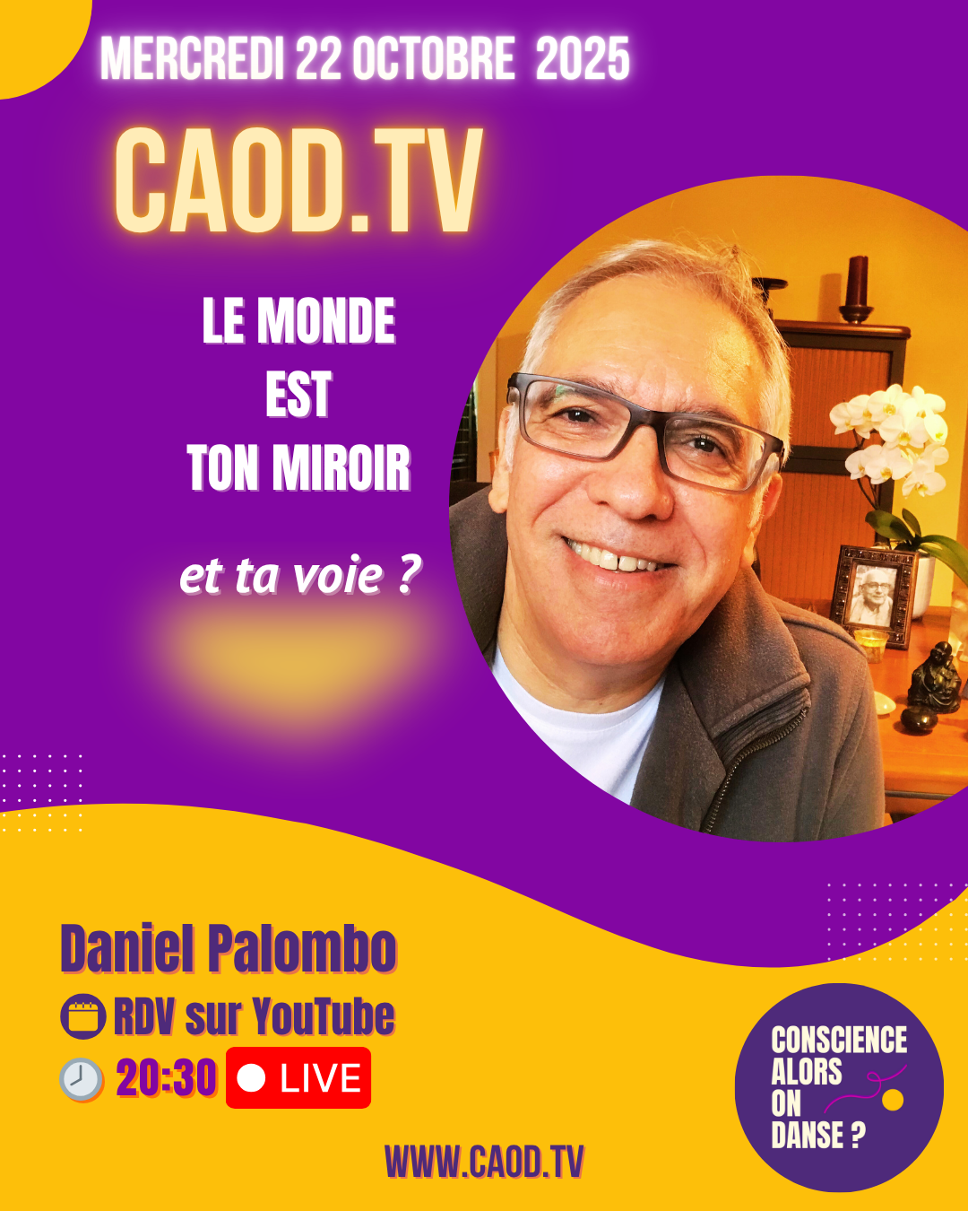 La Voie et le Miroir - Daniel Palombo